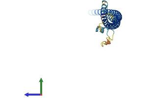 AlphaFold protein structure predicition of Mouse Recombinant Snap25 Protein, UniprotID P60879