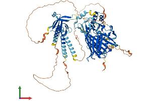 AlphaFold protein structure predicition of Human Recombinant OSBPL11 Protein, UniprotID Q9BXB4