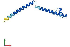 AlphaFold protein structure predicition of Mouse Recombinant Swi5 Protein, UniprotID Q8K3D3