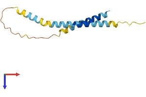 AlphaFold protein structure predicition of Human Recombinant CT83 Protein, UniprotID Q5H943