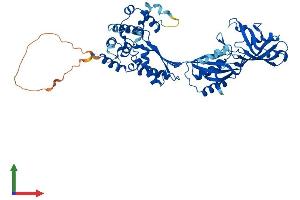 AlphaFold protein structure predicition of Mouse Recombinant Pus10 Protein, UniprotID Q9D3U0