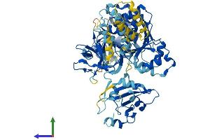 AlphaFold protein structure predicition of Mouse Recombinant Slc27a5 Protein, UniprotID Q4LDG0