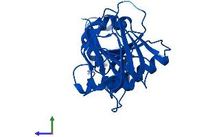AlphaFold protein structure predicition of Human Recombinant TPK1 Protein, UniprotID Q9H3S4