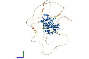 AlphaFold protein structure predicition of Human Recombinant IRF2BP1 Protein, UniprotID Q8IU81