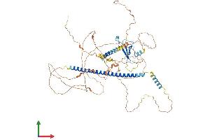 AlphaFold protein structure predicition of Human Recombinant ATF6 Protein, UniprotID P18850