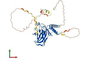 AlphaFold protein structure predicition of Human Recombinant TP53 Protein, UniprotID P04637