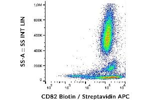 Flow cytometry analysis (surface staining) of CD82 on human peripheral blood cells with anti-CD82 (C33) biotin, streptavidin/PE. (CD82 anticorps  (Biotin))