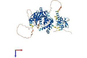 AlphaFold protein structure predicition of Human Recombinant GALNT15 Protein, UniprotID Q8N3T1