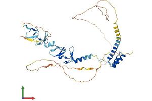 AlphaFold protein structure predicition of Mouse Recombinant Lhx3 Protein, UniprotID P50481