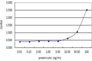 Sandwich ELISA detection sensitivity ranging from 10 ng/ml to 100 ng/ml. (ACTN4 (Humain) Matched Antibody Pair)