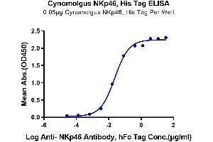 Immobilized Cynomolgus NKp46, His Tag at 0. (NCR1 Protein (AA 22-254) (His tag))