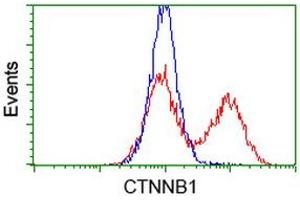 HEK293T cells transfected with either RC208947 overexpress plasmid (Red) or empty vector control plasmid (Blue) were immunostained by anti-CTNNB1 antibody (ABIN2454167), and then analyzed by flow cytometry. (CTNNB1 anticorps)