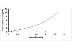 Platelet-Derived Growth Factor Receptor-Like (PDGFRL) ELISA Kit