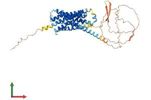 AlphaFold protein structure predicition of Mouse Recombinant Drd3 Protein, UniprotID P30728