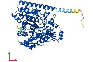 AlphaFold protein structure predicition of Human Recombinant FAAH Protein, UniprotID O00519