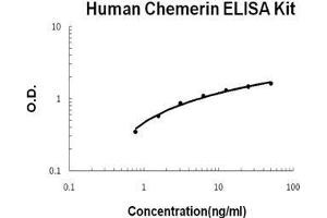 Human Chemerin/RARRES2 PicoKine ELISA Kit standard curve