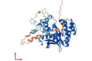 AlphaFold protein structure predicition of Mouse Recombinant Exo5 Protein, UniprotID Q9CXP9