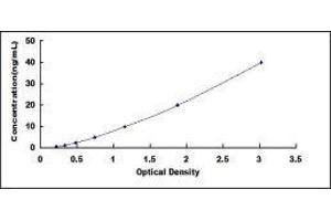 Lipoprotein Lipase (LPL) ELISA Kit