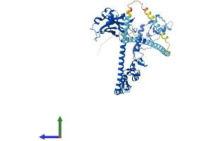 AlphaFold protein structure predicition of Mouse Recombinant Traf5 Protein, UniprotID P70191