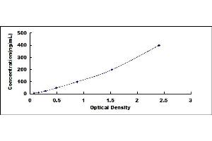ELISA image for Vitamin D-Binding Protein (GC) ELISA Kit (ABIN5564700)