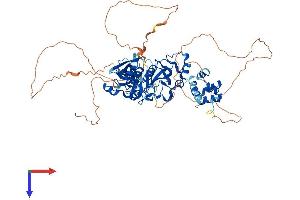 AlphaFold protein structure predicition of Human Recombinant SCMH1 Protein, UniprotID Q96GD3