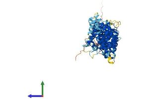 AlphaFold protein structure predicition of Mouse Recombinant Tti2 Protein, UniprotID Q8BGV4