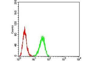 Flow cytometric analysis of Hela cells using TERT mouse mAb (green) and negative control (red). (TERT anticorps  (AA 1029-1132))