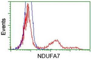 Flow Cytometry (FACS) image for anti-NADH Dehydrogenase (Ubiquinone) 1 alpha Subcomplex, 7, 14.5kDa (NDUFA7) antibody (ABIN1499664) (NDUFA7 anticorps)