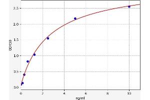 Typical standard curve (BMP6 Kit ELISA)