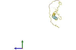 AlphaFold protein structure predicition of Human Recombinant PRAC2 Protein, UniprotID D3DTV9