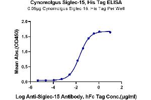 Immobilized Cynomolgus Siglec-15, His Tag at 0.