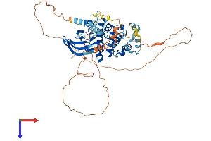 AlphaFold protein structure predicition of Human Recombinant MAPK15 Protein, UniprotID Q8TD08