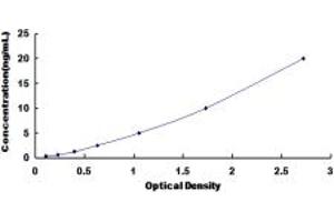 Typical standard curve (SOCS2 Kit ELISA)