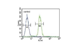 S100B Antibody (ABIN651265 and ABIN2840160) flow cytometric analysis of  cells (right histogram) compared to a negative control cell (left histogram).