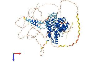 AlphaFold protein structure predicition of Human Recombinant PDE4D Protein, UniprotID Q08499