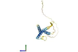 AlphaFold protein structure predicition of Human Recombinant SLC31A1 Protein, UniprotID O15431