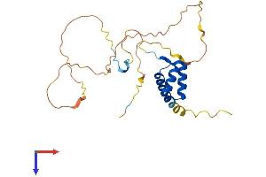 AlphaFold protein structure predicition of Mouse Recombinant Hoxa6 Protein, UniprotID P09092