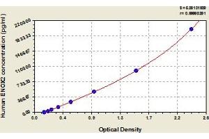 Typical Standard Curve (ENOX2 Kit ELISA)