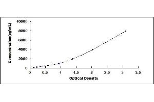 ELISA image for Von Willebrand Factor (VWF) ELISA Kit (ABIN416122)
