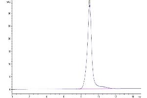The purity of Human BTLA is greater than 95 % as determined by SEC-HPLC.