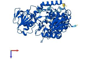 AlphaFold protein structure predicition of Human Recombinant FMO5 Protein, UniprotID P49326