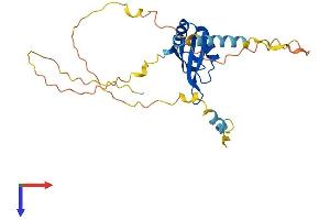 AlphaFold protein structure predicition of Mouse Recombinant Pabpn1l Protein, UniprotID Q5XFR0