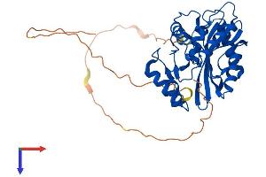 Vasohibin 2 (VASH2) (AA 1-355) protein (His tag)