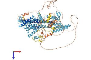 AlphaFold protein structure predicition of Human Recombinant PHTF1 Protein, UniprotID Q9UMS5