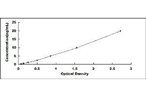 Typical standard curve (TNKS Kit ELISA)