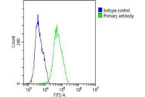 Overlay histogram showing MCF-7 cells stained with Antibody (green line).