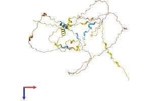 AlphaFold protein structure predicition of Human Recombinant CDC42EP1 Protein, UniprotID Q00587