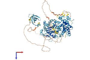 AlphaFold protein structure predicition of Human Recombinant RAD54B Protein, UniprotID Q9Y620