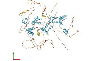 AlphaFold protein structure predicition of Human Recombinant CTCF Protein, UniprotID P49711