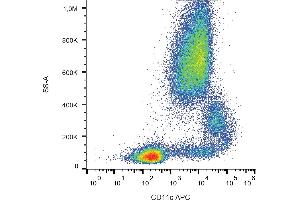 Flow cytometry analysis (surface staining) of human peripheral blood cells with anti-CD11c (BU15) APC.